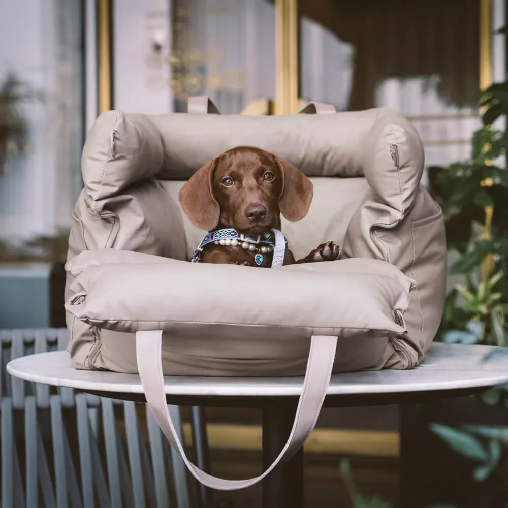 Pet Travel Carrier & Car Booster - Image 6